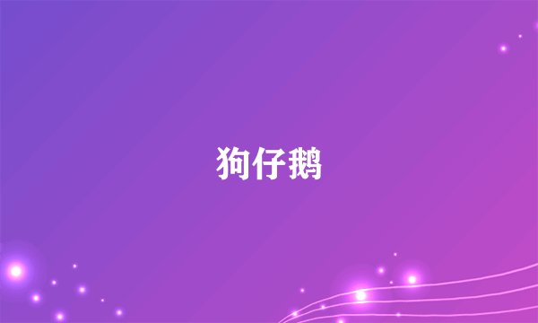 狗仔鹅