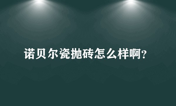 诺贝尔瓷抛砖怎么样啊？