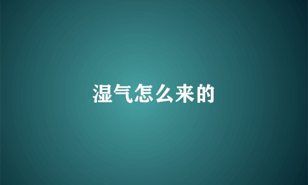 湿气怎么来的