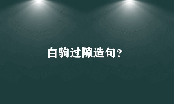 白驹过隙造句？