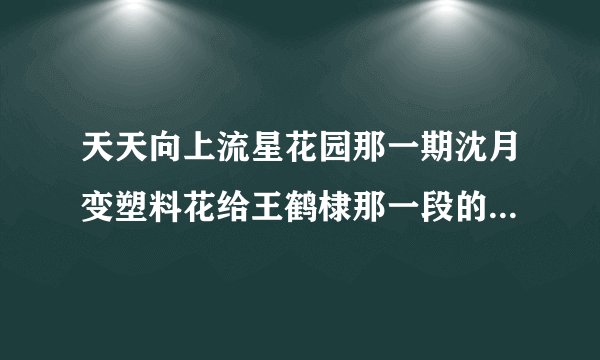 天天向上流星花园那一期沈月变塑料花给王鹤棣那一段的bgm是什么?
