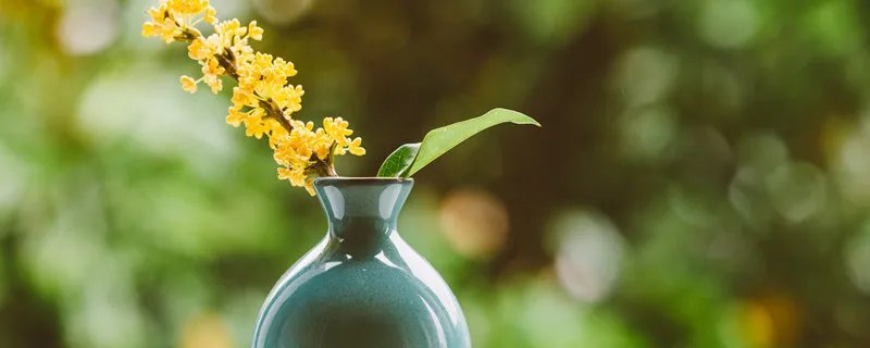 栗子花味是什么梗