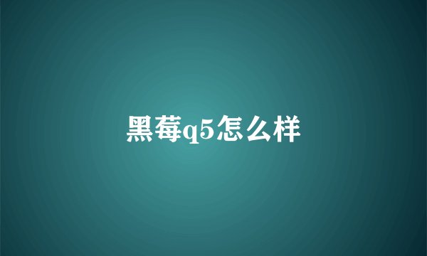黑莓q5怎么样