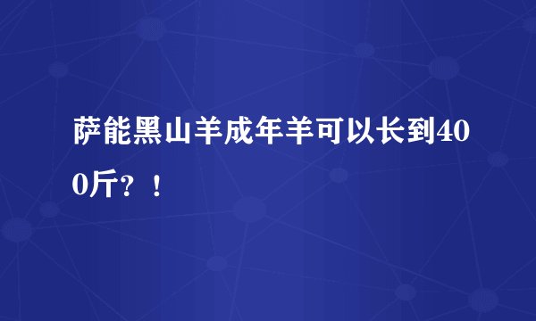 萨能黑山羊成年羊可以长到400斤?!