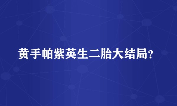 黄手帕紫英生二胎大结局？