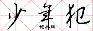少年犯