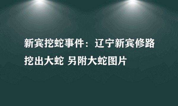 新宾挖蛇事件：辽宁新宾修路挖出大蛇 另附大蛇图片
