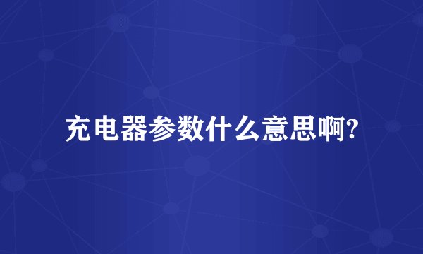 充电器参数什么意思啊?