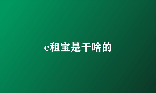 e租宝是干啥的