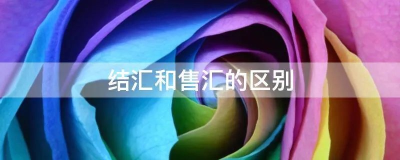 结汇和售汇的区别