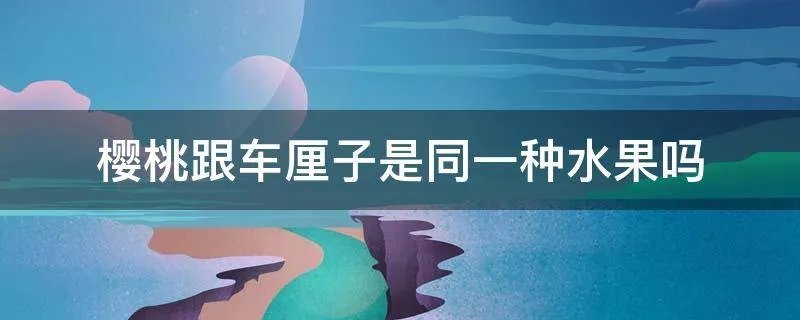 樱桃跟车厘子是同一种水果吗