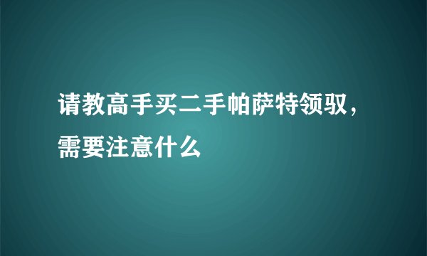 请教高手买二手帕萨特领驭,需要注意什么