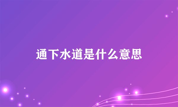 通下水道是什么意思