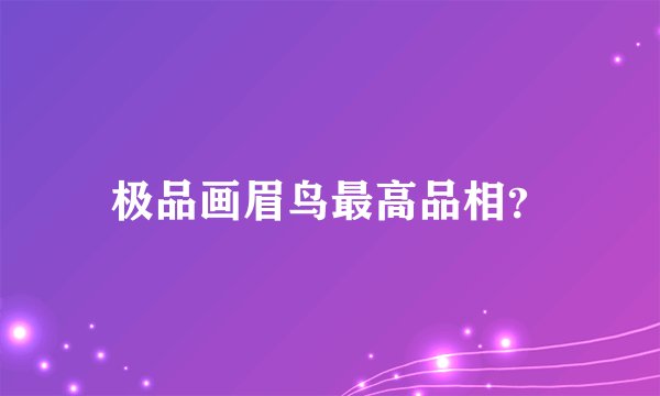 极品画眉鸟最高品相？