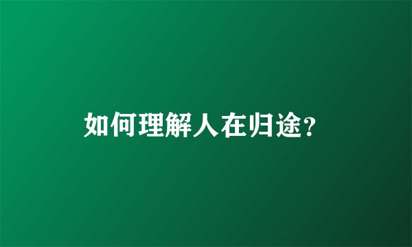 如何理解人在归途？