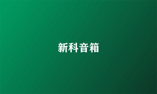 新科音箱