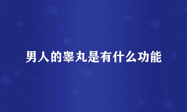 男人的睾丸是有什么功能