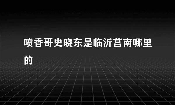 喷香哥史晓东是临沂莒南哪里的