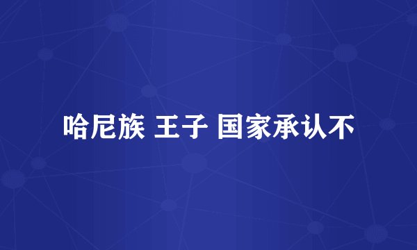 哈尼族 王子 国家承认不