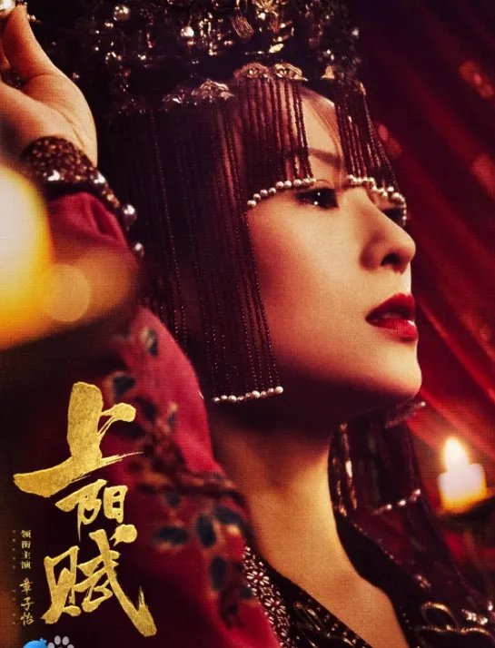 章子怡首谈《上阳赋》被打低分，网友为什么对《上阳赋》的评分低？
