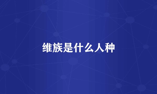 维族是什么人种