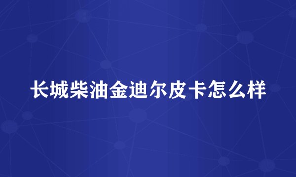 长城柴油金迪尔皮卡怎么样
