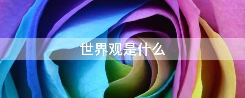 世界观是什么