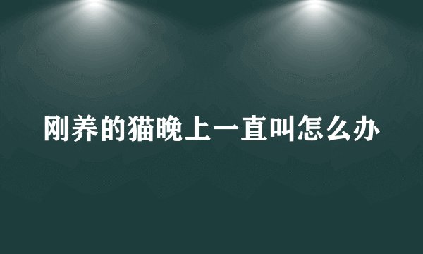 刚养的猫晚上一直叫怎么办