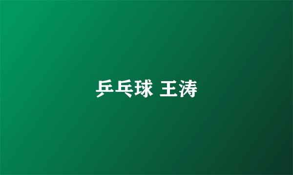 乒乓球 王涛