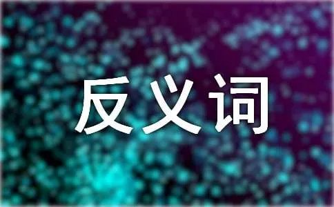 特别的反义词