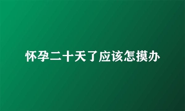 怀孕二十天了应该怎摸办