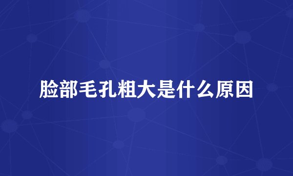 脸部毛孔粗大是什么原因