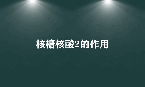 核糖核酸2的作用