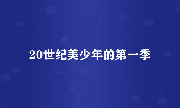 20世纪美少年的第一季