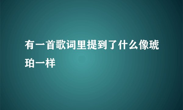 有一首歌词里提到了什么像琥珀一样