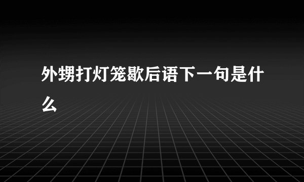 外甥打灯笼歇后语下一句是什么