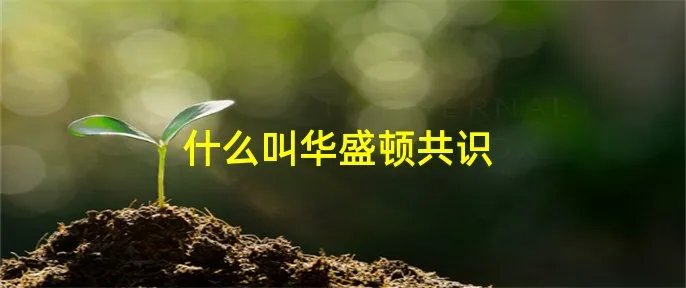 什么叫华盛顿共识