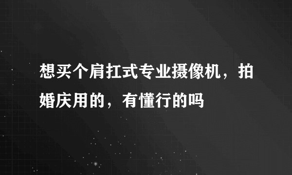想买个肩扛式专业摄像机，拍婚庆用的，有懂行的吗