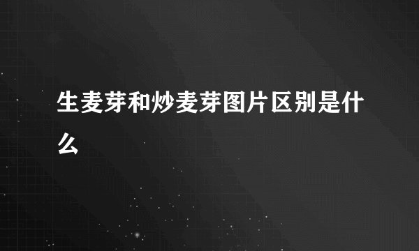 生麦芽和炒麦芽图片区别是什么