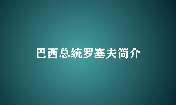 巴西总统罗塞夫简介