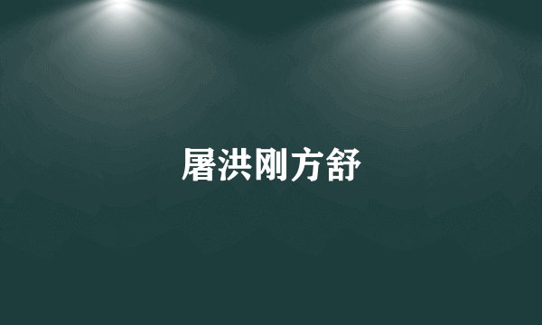 屠洪刚方舒