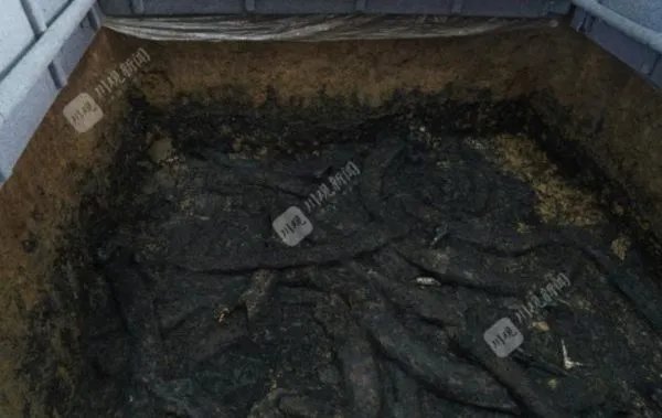 三星堆遗址考古重大发现揭晓,分别发现了些什么?