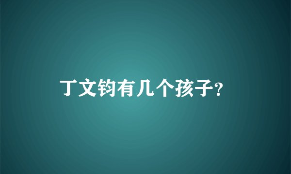 丁文钧有几个孩子？