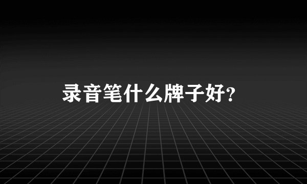 录音笔什么牌子好?