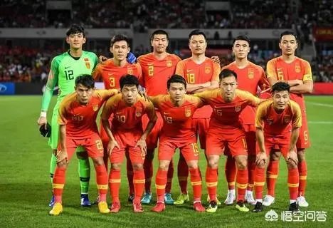 埃尔克森和高拉特倘若真的被顺利归化成功,他们还把国足带入了世界杯!你们会自豪吗?