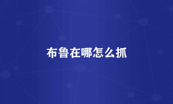 布鲁在哪怎么抓
