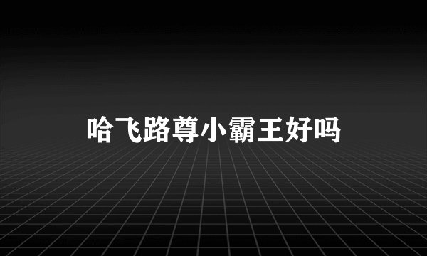 哈飞路尊小霸王好吗