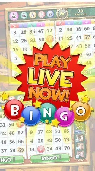 疯狂Bingo攻略