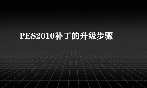 PES2010补丁的升级步骤