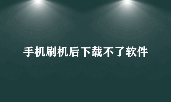 手机刷机后下载不了软件